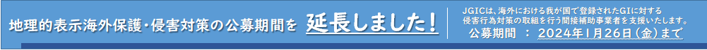 海外保護・侵害対策公募