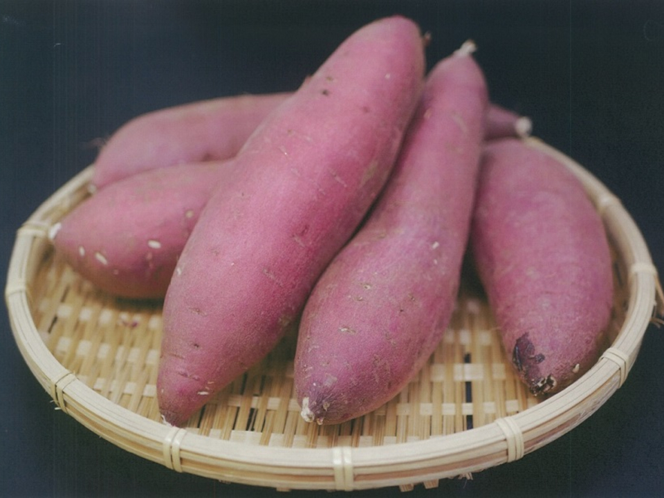 行方かんしょ